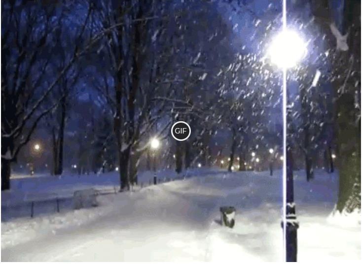 Гифка Падающий снег в зимнем парке