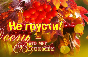 Красивые гифки про осень (50 gif картинок)