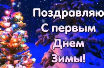 Гифки с Первым Днём Зимы (60 gif картинок 1 Декабря)
