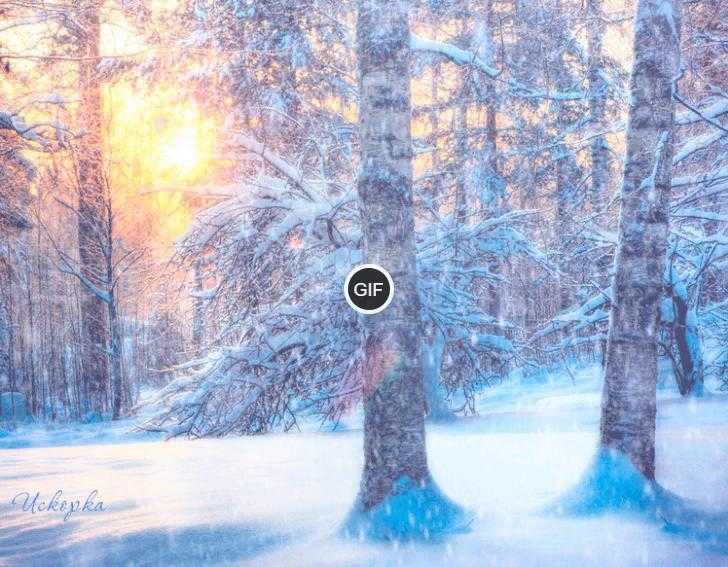 Зимний лес картинки Gif