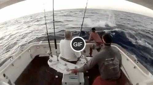 Гифки приколы над людьми на рыбалке
