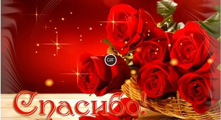 Гифки спасибо