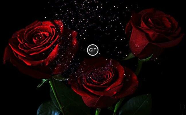 Гифки розы большие