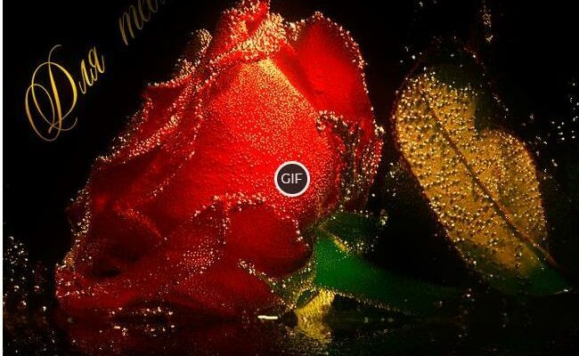 Гифки живые мерцающие супер картинки цветы о любви