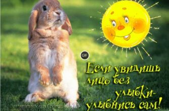 Прикольные гифки улыбнись