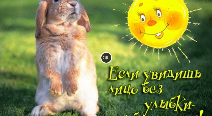 Прикольные гифки улыбнись