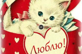 Гифки Я тебя обожаю