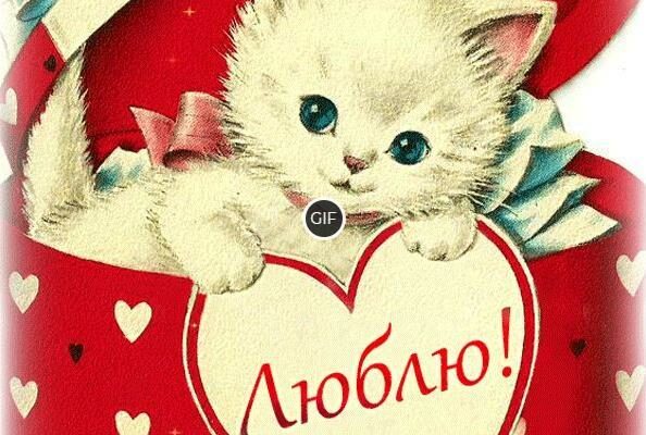 Гифки Я тебя обожаю