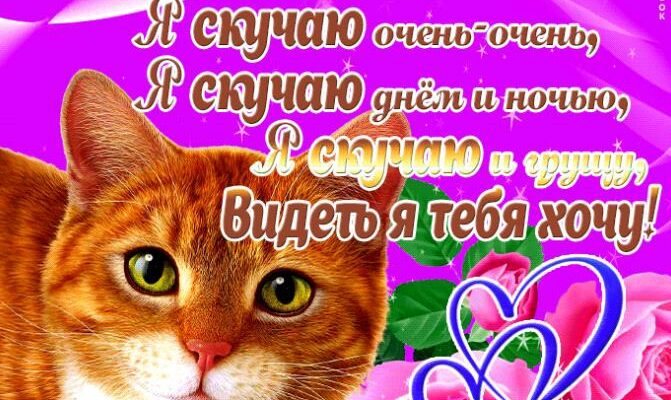 Гифки скучаю по тебе (50 gif картинок)