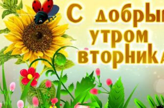 Гифки с добрым утром Вторника (40 gif картинок)