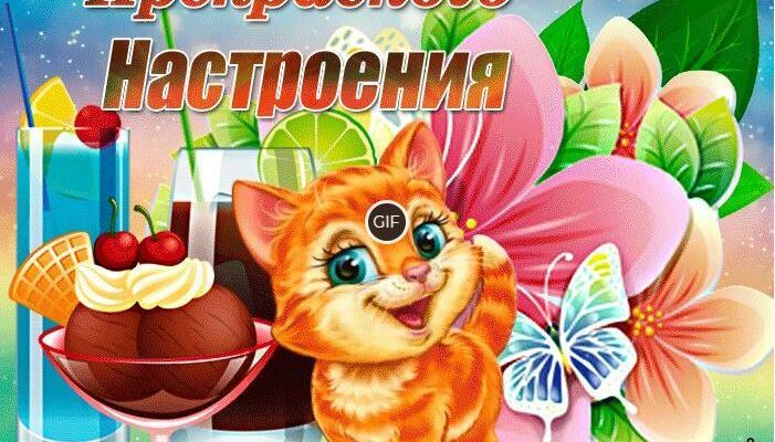Гифки прекрасного настроения