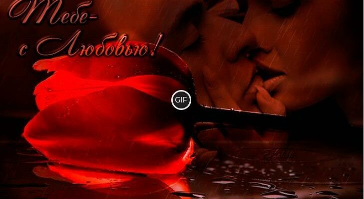 Гифки я тебя обожаю женщине