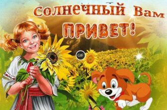Гифки привет прикольные