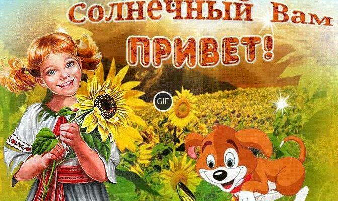 Гифки привет прикольные