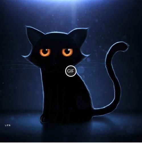 Гифки чёрные коты