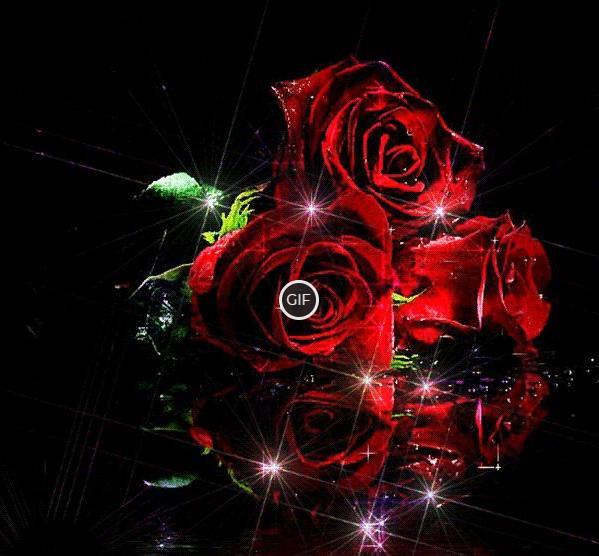 Анимация красивые розы