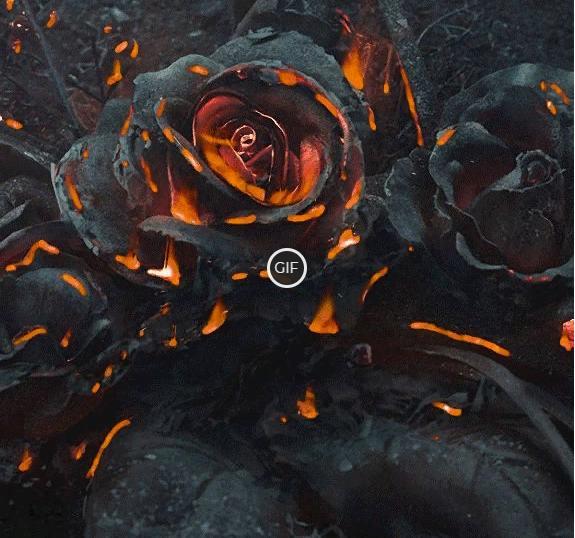 Гифка чёрная роза в огне