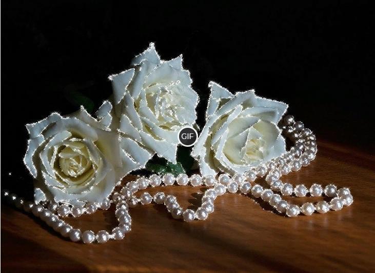 Белые розы гифки красивые