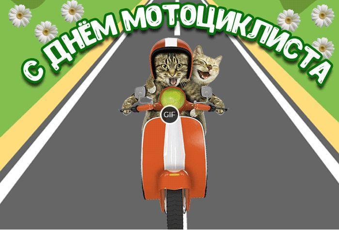 Гифки всемирный день мотоциклиста