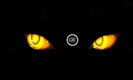 Гифка глаза кошки в темноте