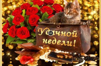 Картинки с добрым утром по дням недели