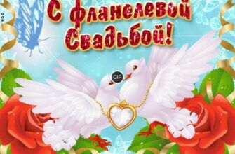 Гифки с фланелевой свадьбой 43 года