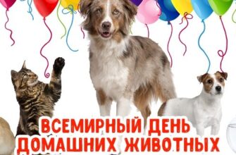 Гифки : Поздравления с всемирным днём животных 4 Октября 2023 (30 gif картинок)