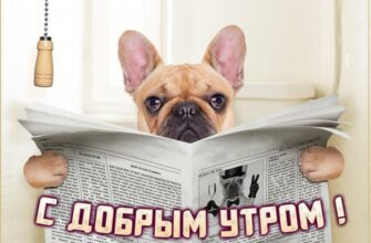 Необычные красивые открытки с добрым утром