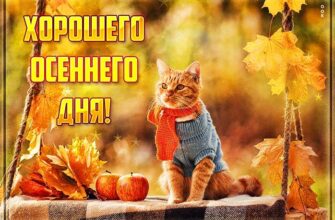 Открытки с пожеланиями хорошего осеннего дня