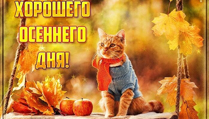 Открытки с пожеланиями хорошего осеннего дня