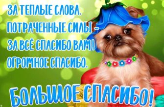 Гифки спасибо