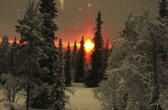 Фото зимы с идущим снегом анимированное фото