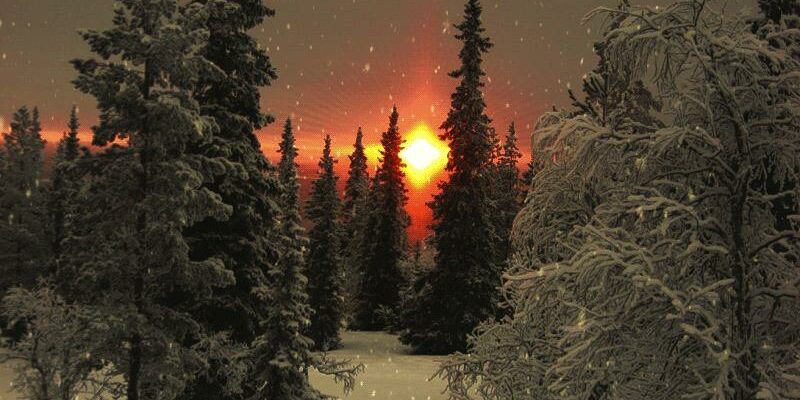 Фото зимы с идущим снегом анимированное фото