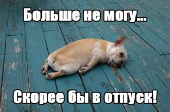 Прикольные картинки Хочу в отпуск (131 фото)