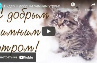 Тик ток добрые зимние пожелания картинки и короткие видео