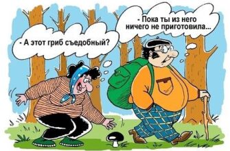 Прикольные картинки про грибников (130 фото)
