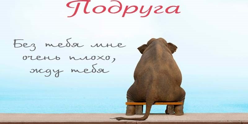 Прикольные картинки про подругу с надписью (140 фото)
