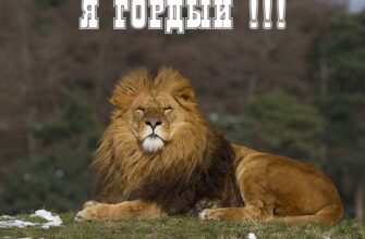 Я гордый — прикольные картинки