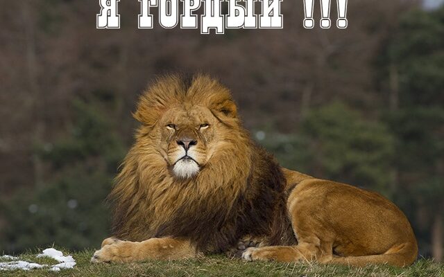 Я гордый — прикольные картинки