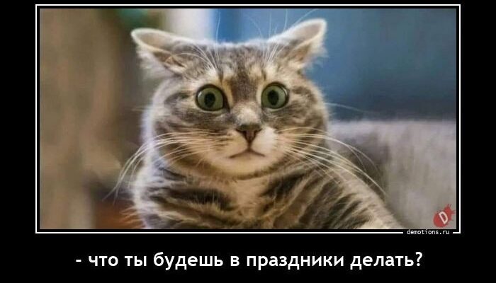 Демотиваторы 2022 (124 фото)