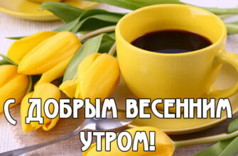 Оригинальные открытки с добрым весенним утром (30 фото)
