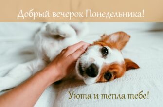 Картинки добрый вечер понедельника (35 фото)