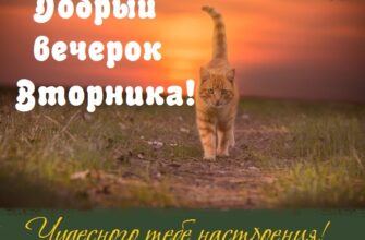 Картинки добрый вечер вторника 20 фото)