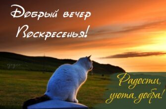Картинки доброго воскресного вечера (35 фото)