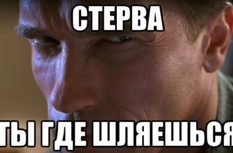 Картинки с вопросом : "Ты где?" (20 фото)