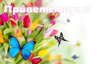 Красивые и прикольные картинки летний привет (50 фото)