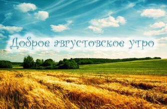 Летние картинки с добрым Августовским утром (40 фото)