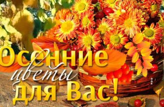 Гифки осенние цветы (20 gif картинок)