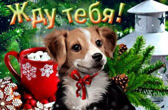 Гифки Жду Тебя (30 картинок)