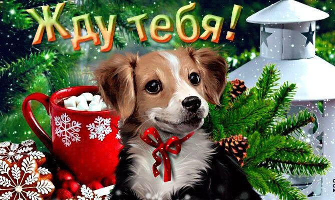 Гифки Жду Тебя (30 картинок)